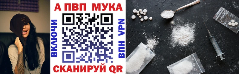 Альфа ПВП СК  Ачхой-Мартан 