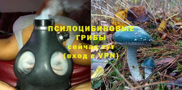 гидра Абинск