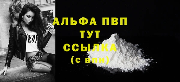 дмт Абаза