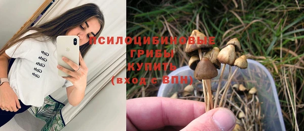 дмт Абаза