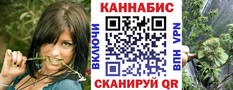 кракен как войти  Ачхой-Мартан  Марихуана семена 